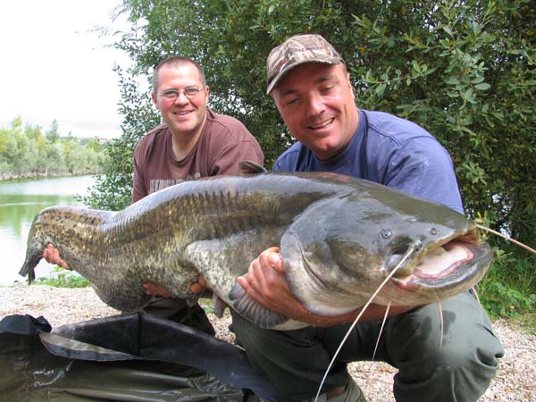 large carfish