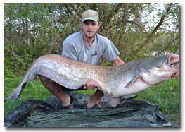 94lb 6oz catfish