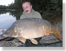 50lb Mirror Carp