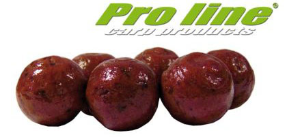 boilies