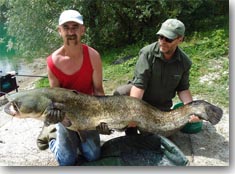 108lb Catfish