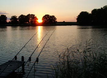 View of fishing rods